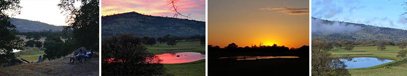 Epic Alpacas Ranch Sunset